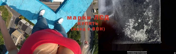 стаф Осташков