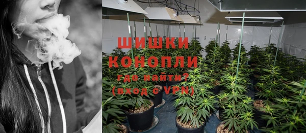 стаф Осташков