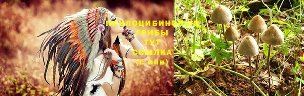 бутират Осинники