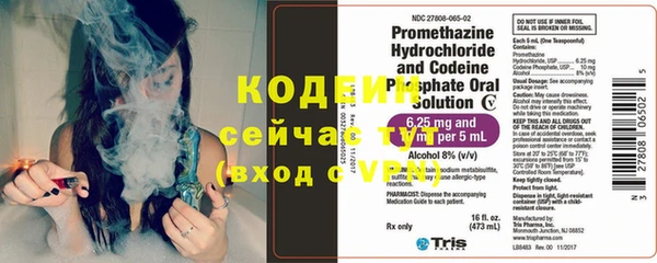 стаф Осташков