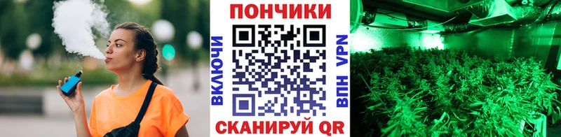 Канабис гибрид  Купить где  Зеленокумск 